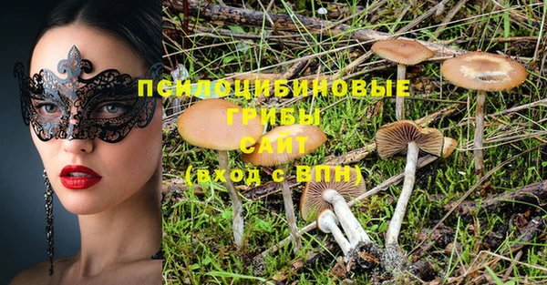 эйфоретик Алексин